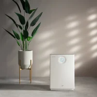 Best Air Purifier for Allergies? Coway Air mega 150 Reviewed